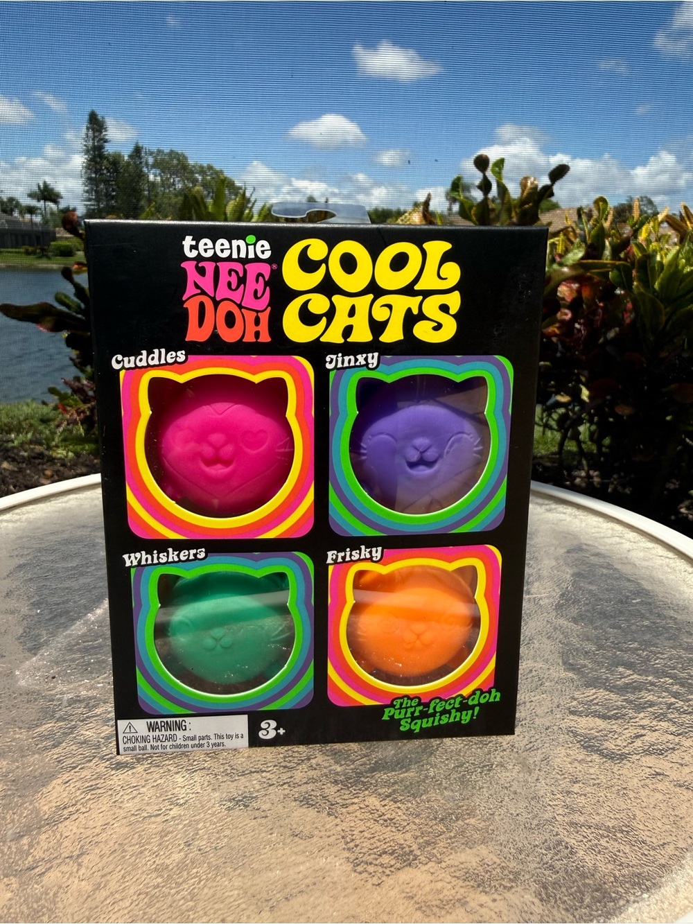 teenie NEE DOH Cool Cats Set - Pink, Purple, Green, Orange